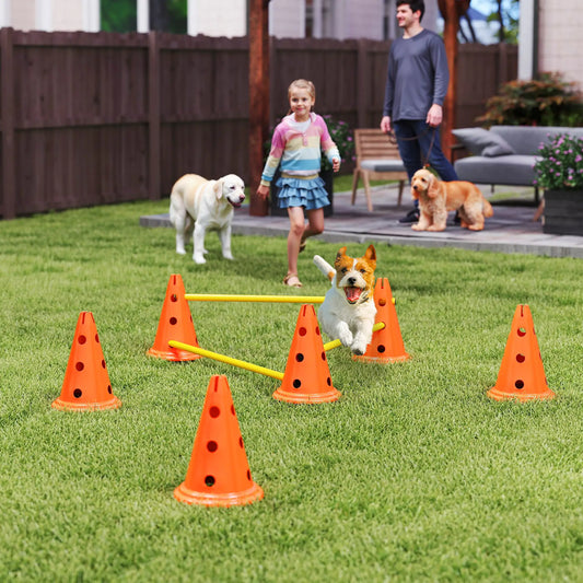 Dog Agility Hurdle Set, 6 Cones & Poles, Orange Dog Agility Training Equipment Orange, Yellow at Gallery Canada