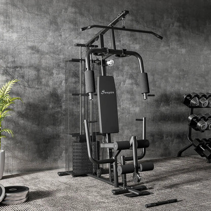 Multifunction Home Gym, 100Lbs Weight Stack, Lat Pulldown, Leg Extensions, Black Power Towers at Gallery Canada
