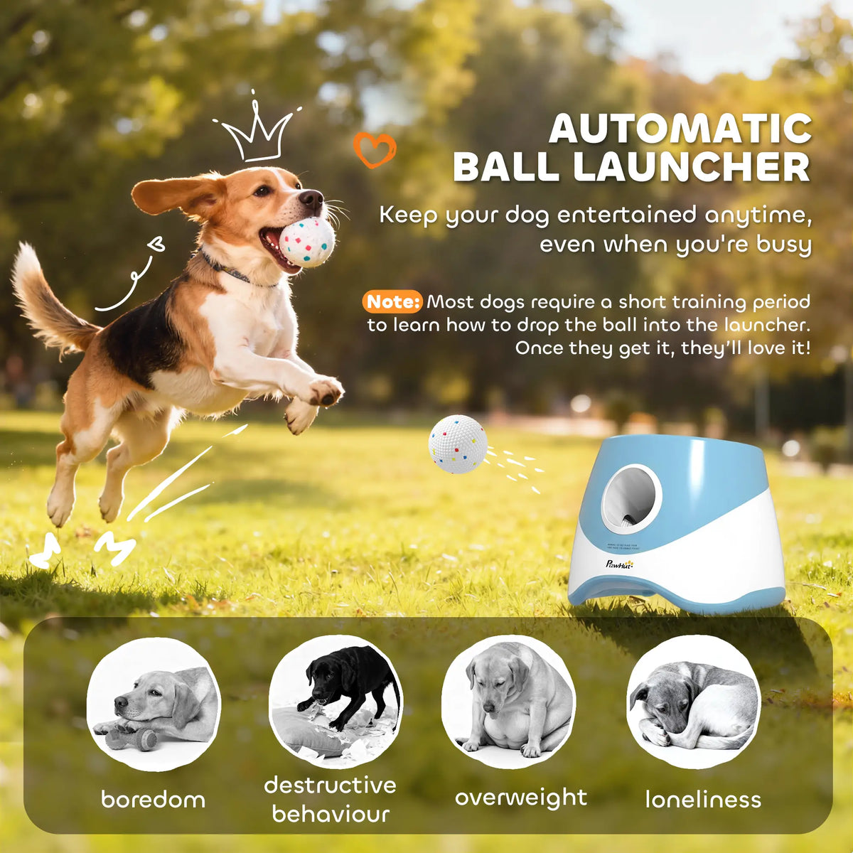 Automatic Dog Ball Launcher With 5 ETPU Balls, Blue Dog Agility Training Equipment at Gallery Canada
