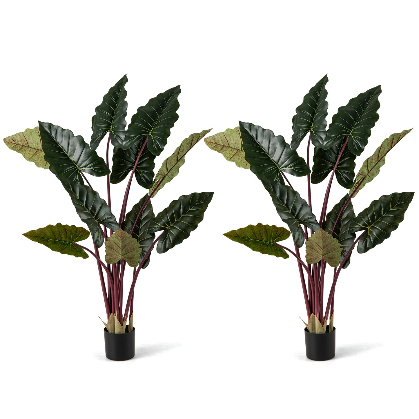 Artificial Rainbow Taro Tree 63" Tall with 11 Faux Leaves-2 Pack Faux Plants at Gallery Canada