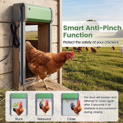 Automatic Chicken Coop Door w/ Remote & Light Sensor Chicken Coops at Gallery Canada