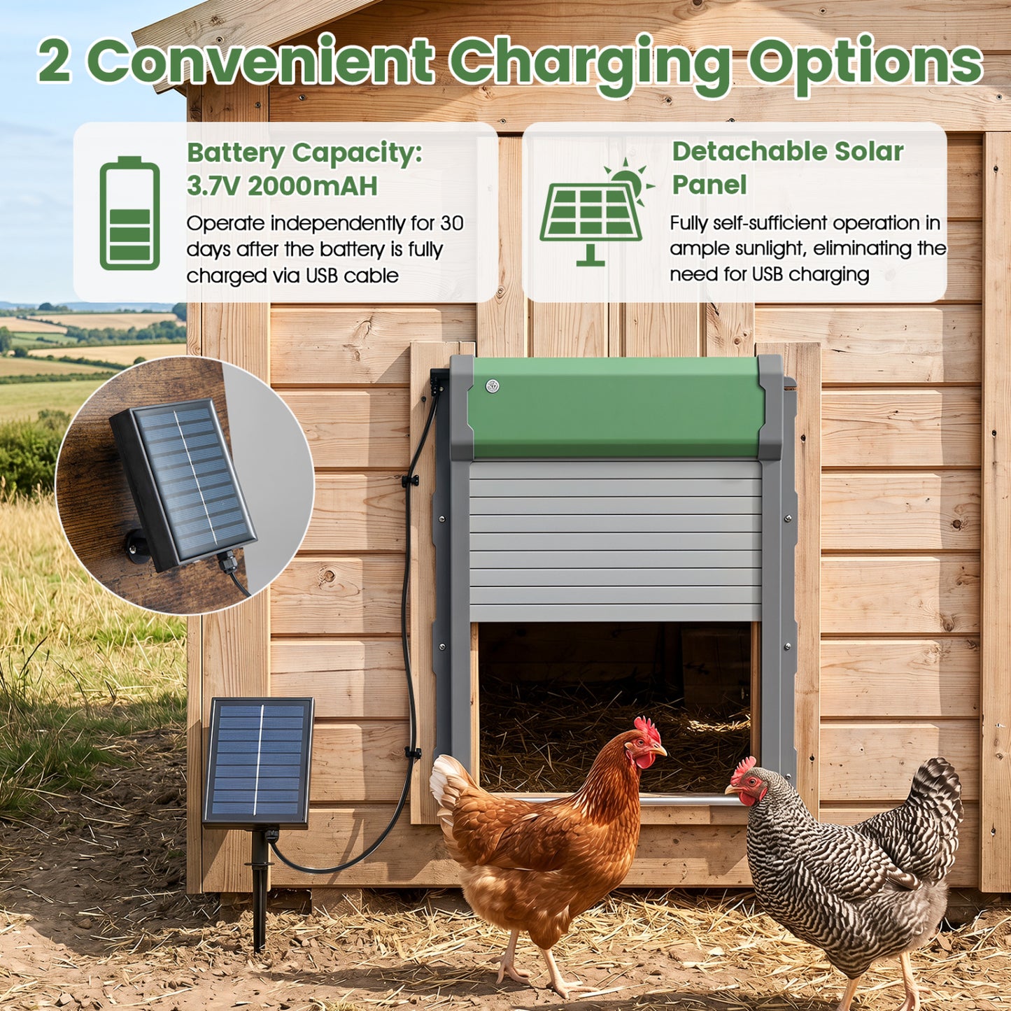 Automatic Chicken Coop Door w/ Remote & Light Sensor Chicken Coops at Gallery Canada