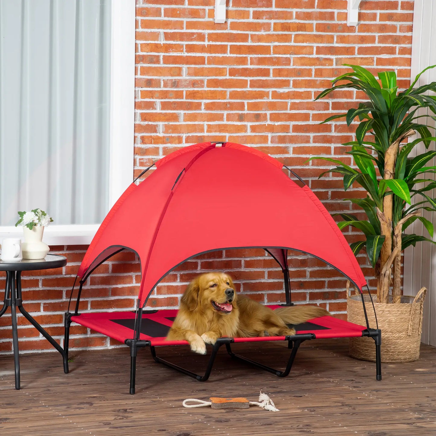 Elevated Pet Bed, Dog Cot, Portable Outdoor Indoor, Red Elevated Dog Beds at Gallery Canada