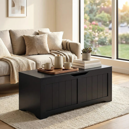 Storage Bench with Lift Top Storage Chest with Safety Hinges for Entryway, Living Room, Black Storage Cabinets at Gallery Canada