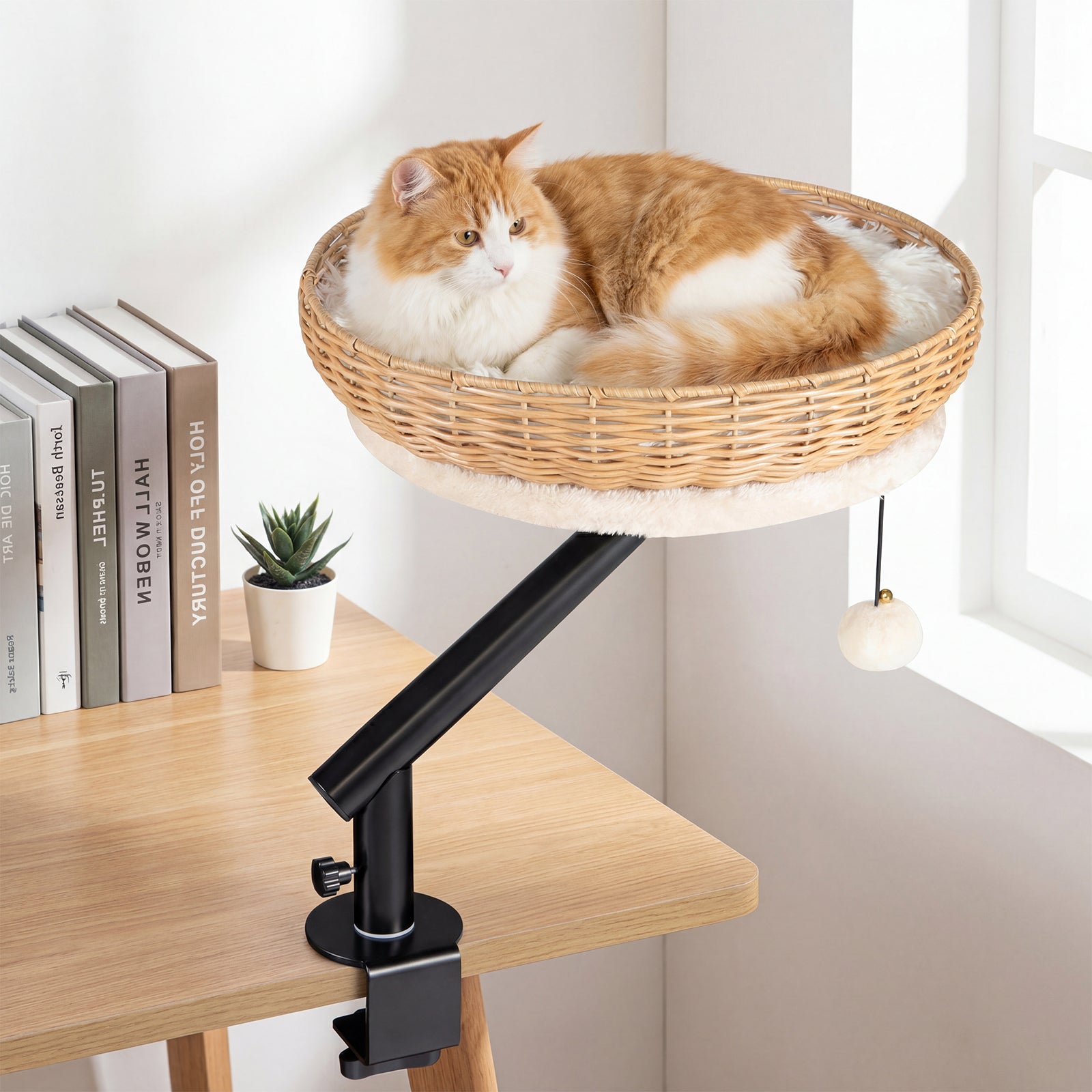 Cat Desk Bed With Removable Padded Cushion, Natural Cat Houses at Gallery Canada