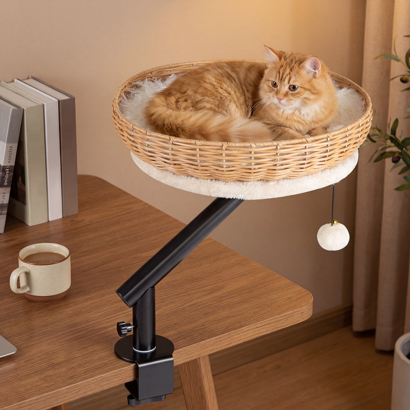 Cat Desk Bed With Removable Padded Cushion, Natural Cat Houses at Gallery Canada