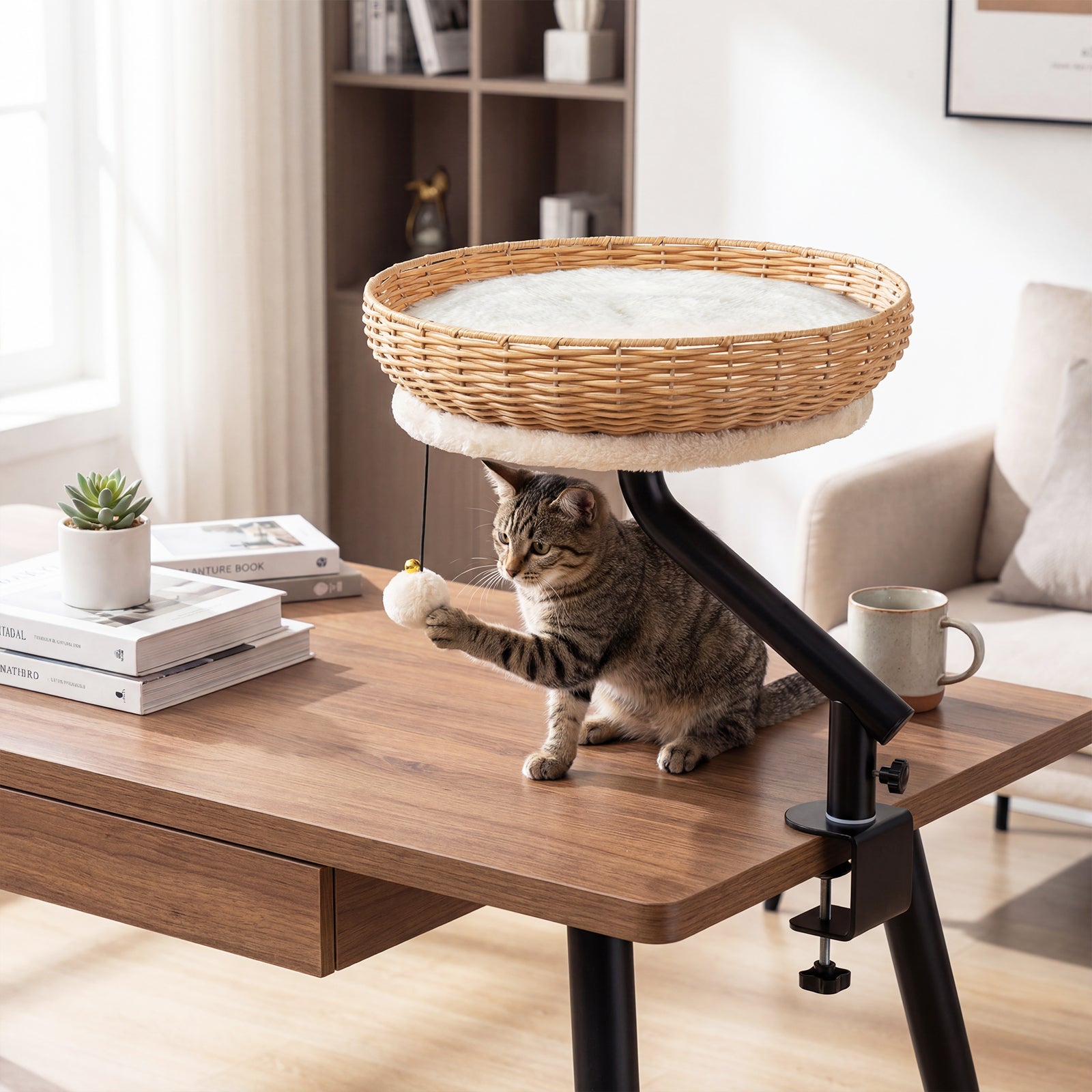 Cat Desk Bed With Removable Padded Cushion, Natural Cat Houses at Gallery Canada