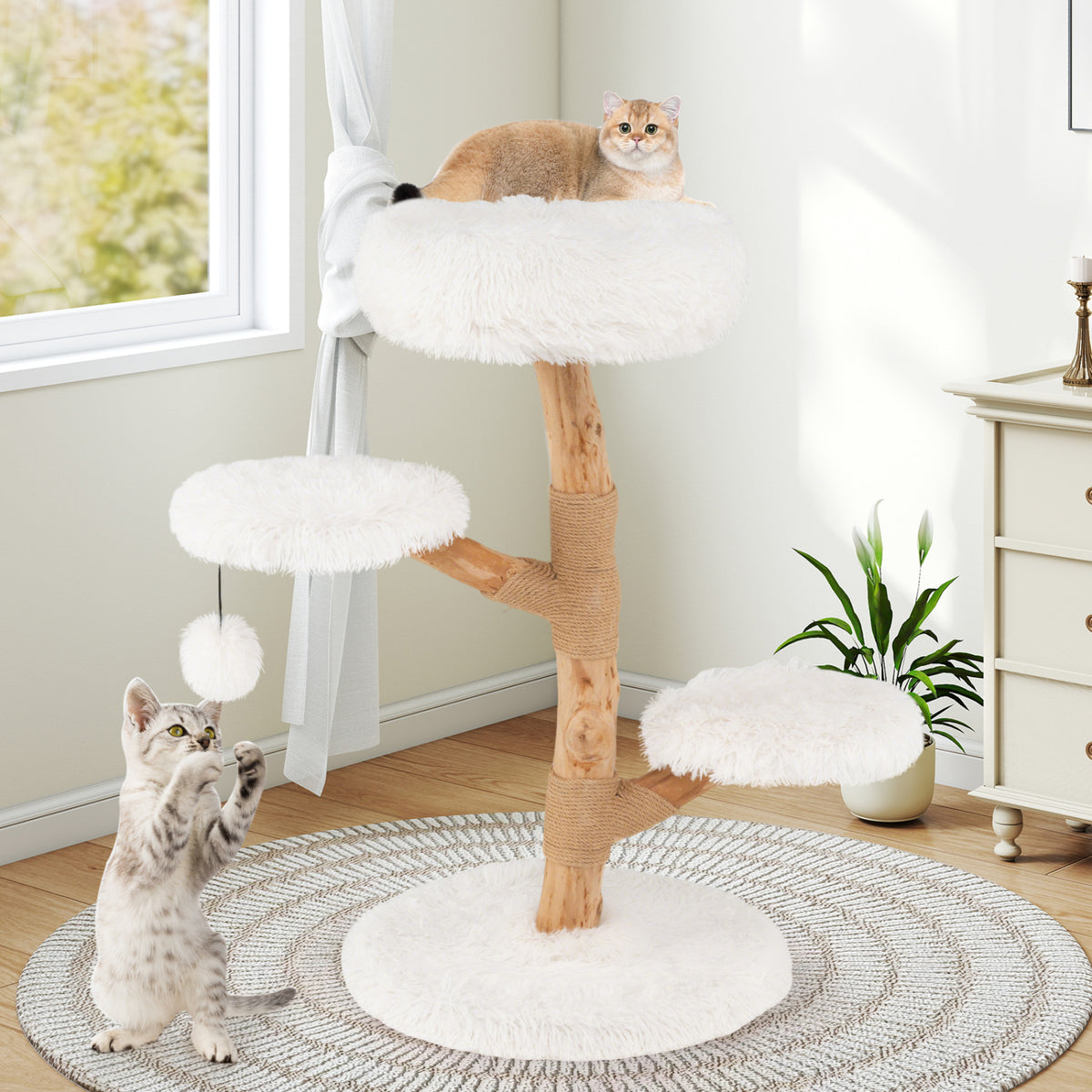 Solid Pear Wood Cat Tree With Perch Cat Trees Condos & Scratchers at Gallery Canada