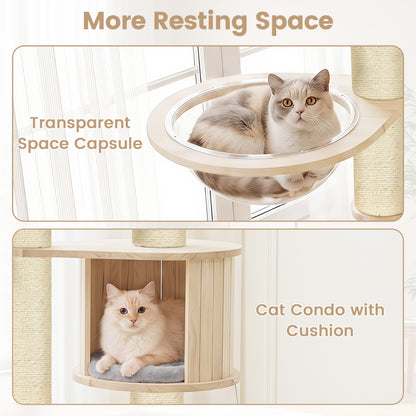 Cat Tree for Indoor Kittens with Top Perch, Gray