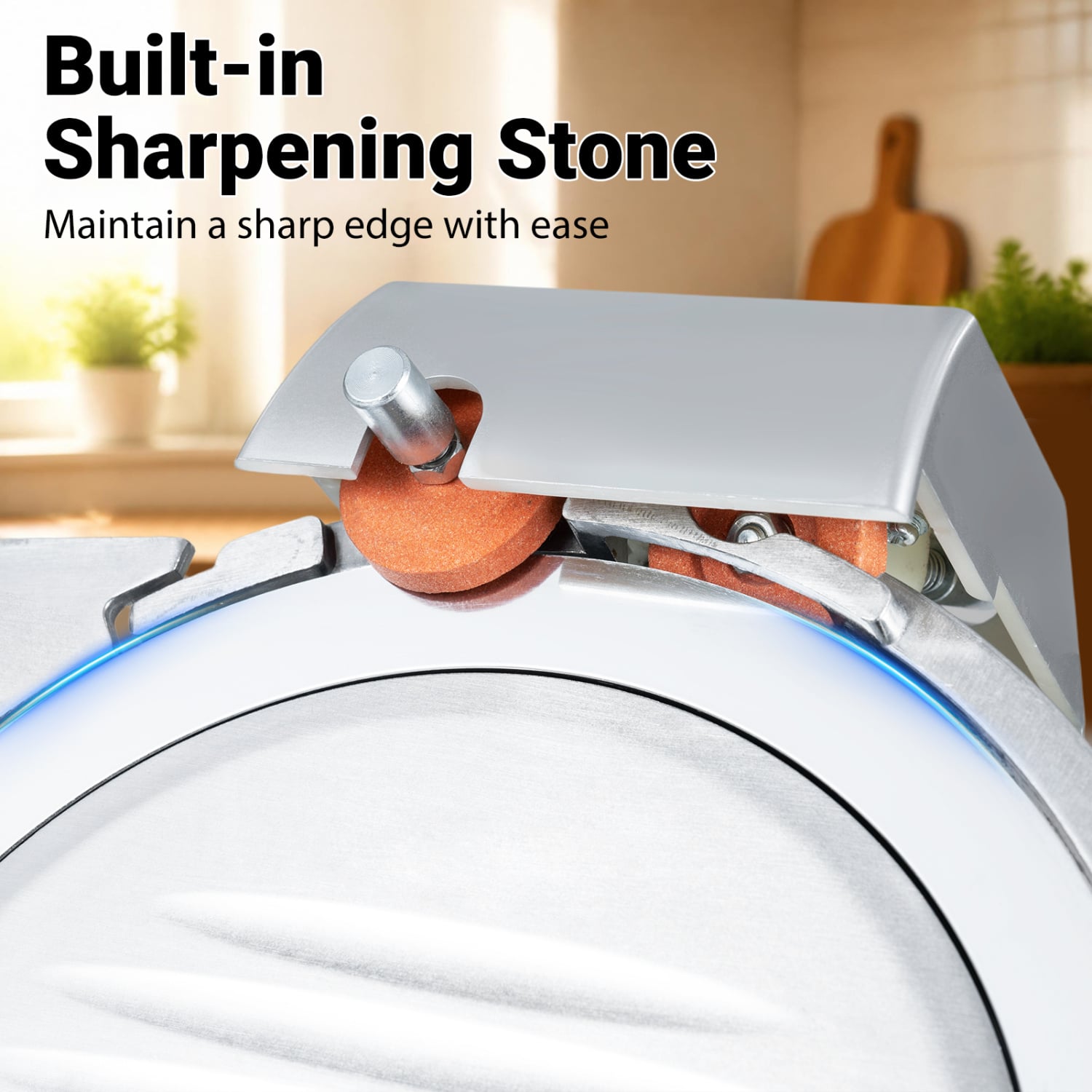 Commercial Meat Slicer, 10