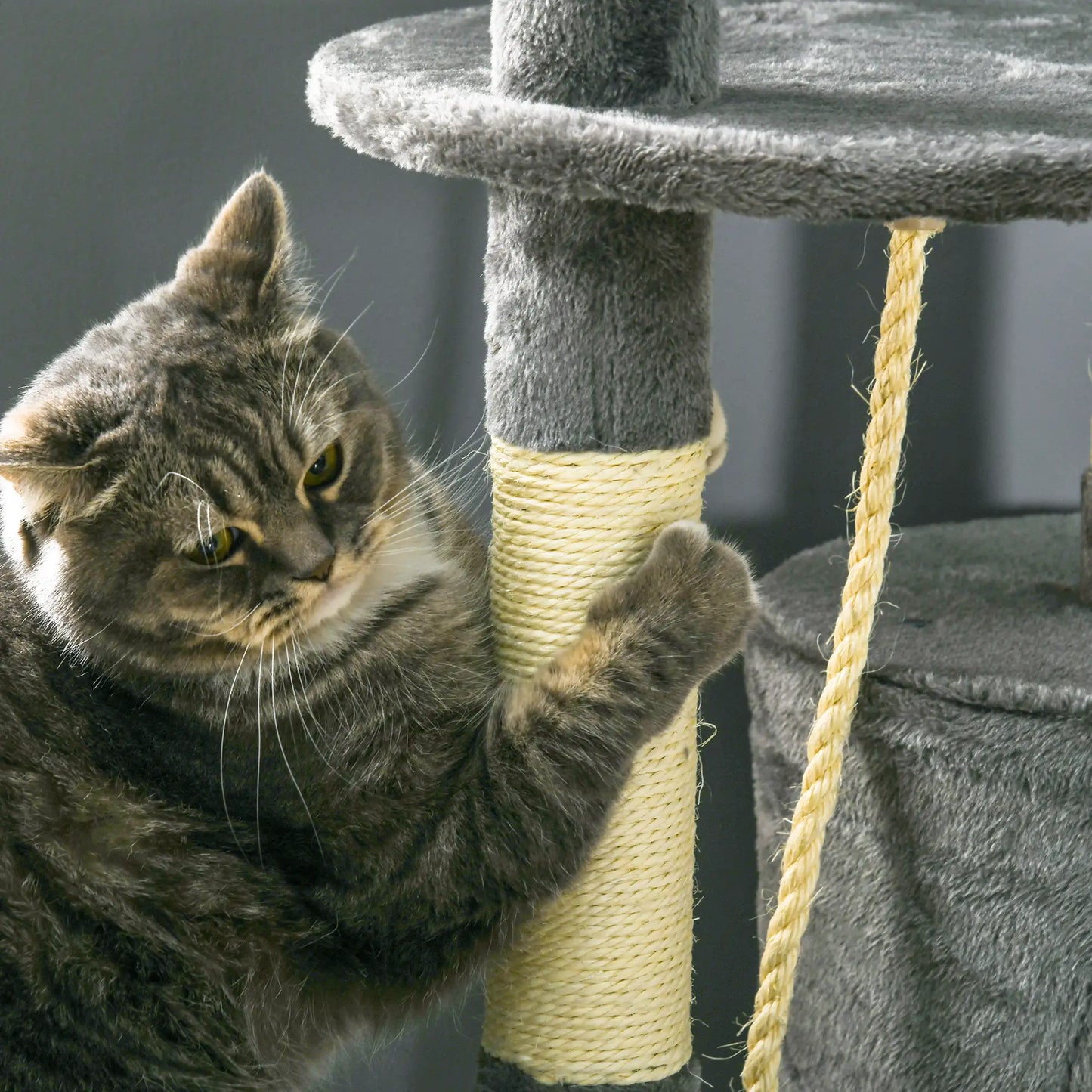 46Inch Cat Tree, Multi Level Tower for Large Cats, Grey Floor to Ceiling Cat Trees at Gallery Canada
