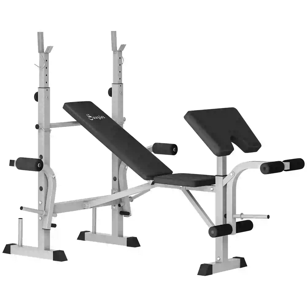 Adjustable Weight Bench, Squat Rack, Preacher Curl Pad, Leg Developer, Grey Weight Benches at Gallery Canada