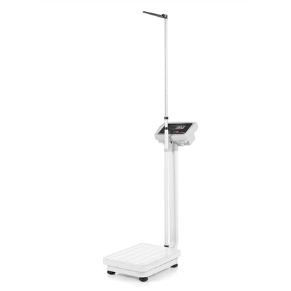 Digital Height & Weight Scale, 400 lbs, LED Kitchen Tools White at Gallery Canada