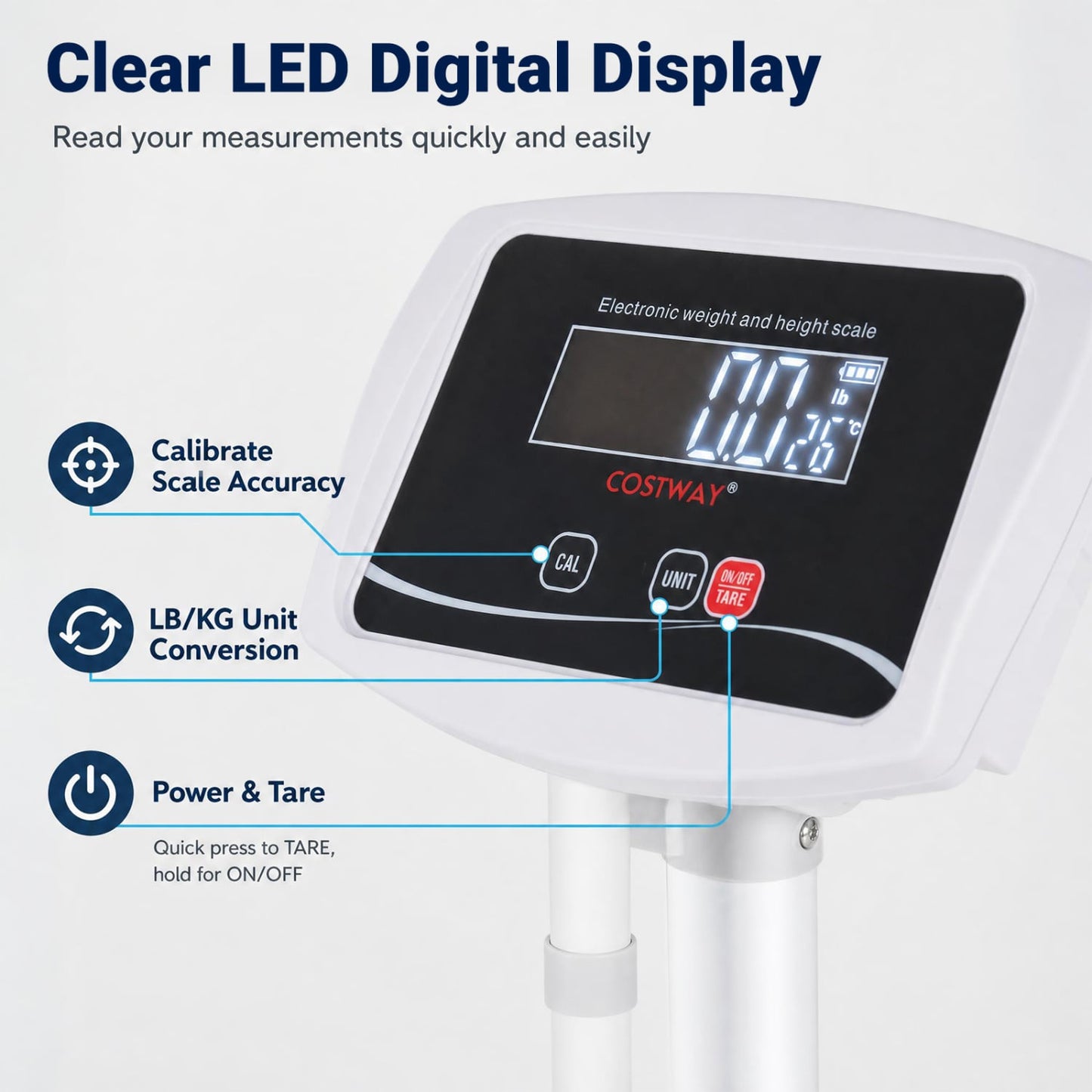 Digital Height & Weight Scale, 400 lbs, LED Kitchen Tools at Gallery Canada