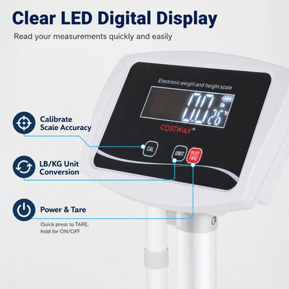 Digital Height & Weight Scale, 400 lbs, LED Kitchen Tools at Gallery Canada
