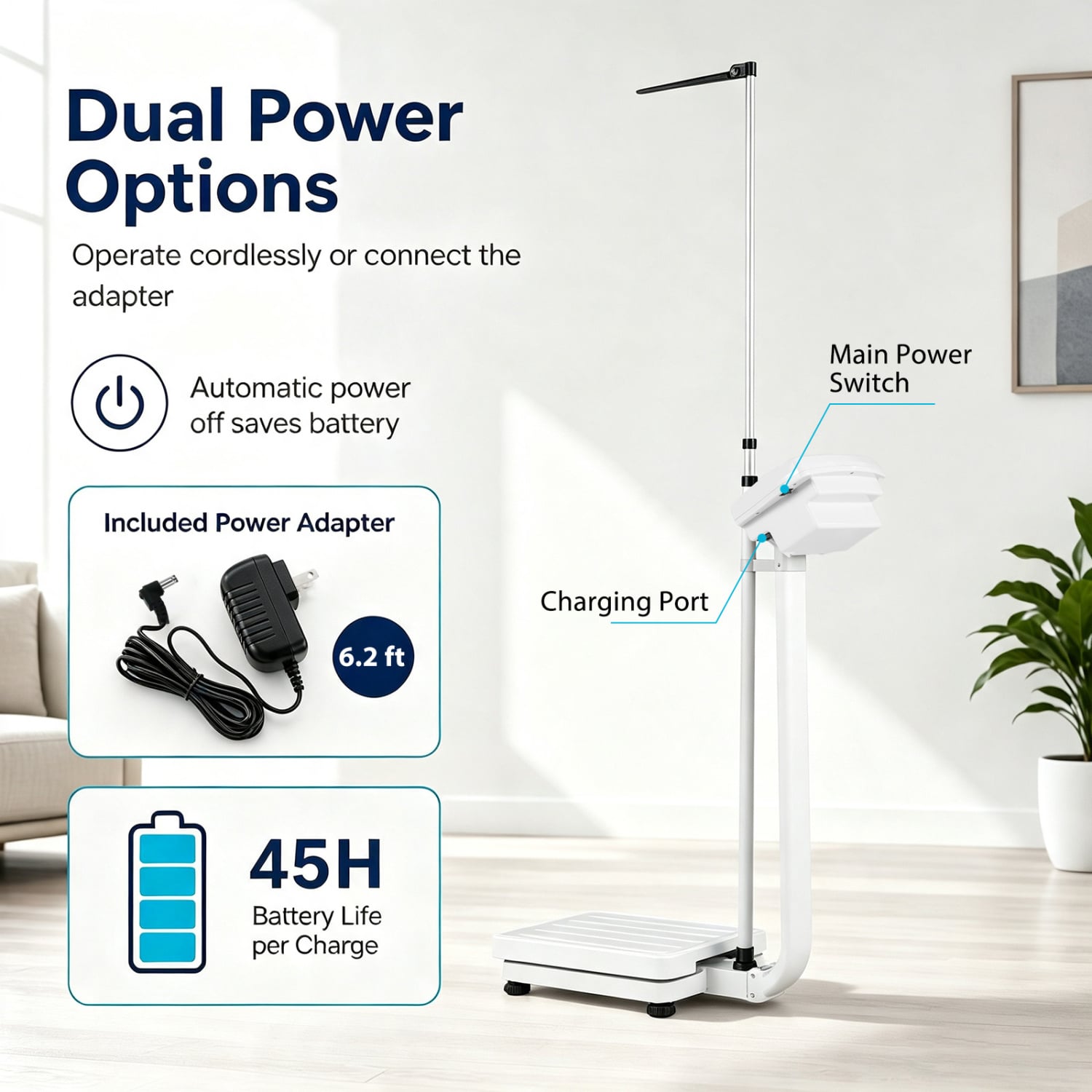 Digital Height & Weight Scale, 400 lbs, LED Kitchen Tools at Gallery Canada