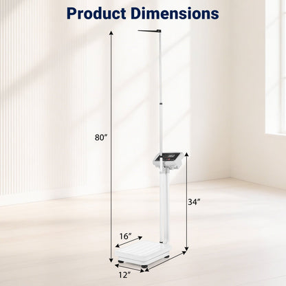 Digital Height & Weight Scale, 400 lbs, LED Kitchen Tools at Gallery Canada