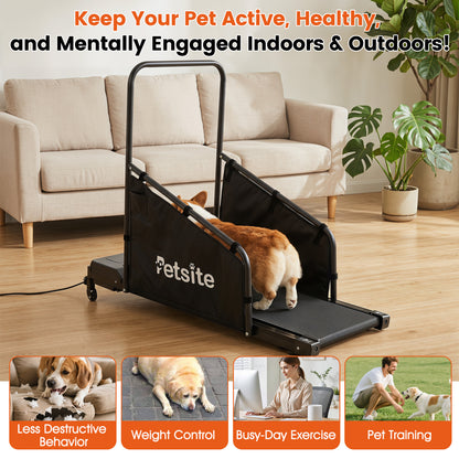 Dog Treadmill With Remote Control, LCD Display, Black Dog Supplies at Gallery Canada