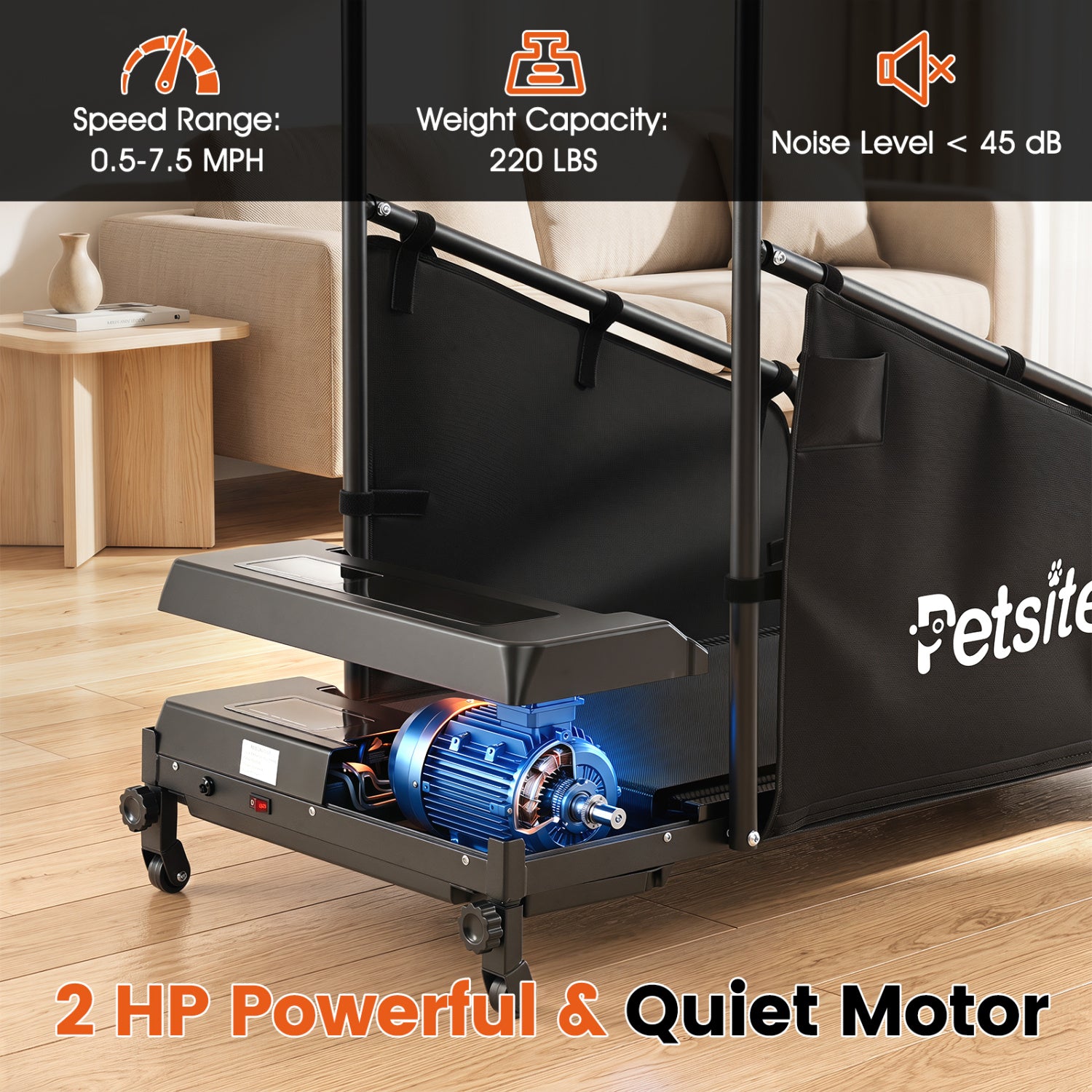 Dog Treadmill With Remote Control, LCD Display, Black Dog Supplies at Gallery Canada