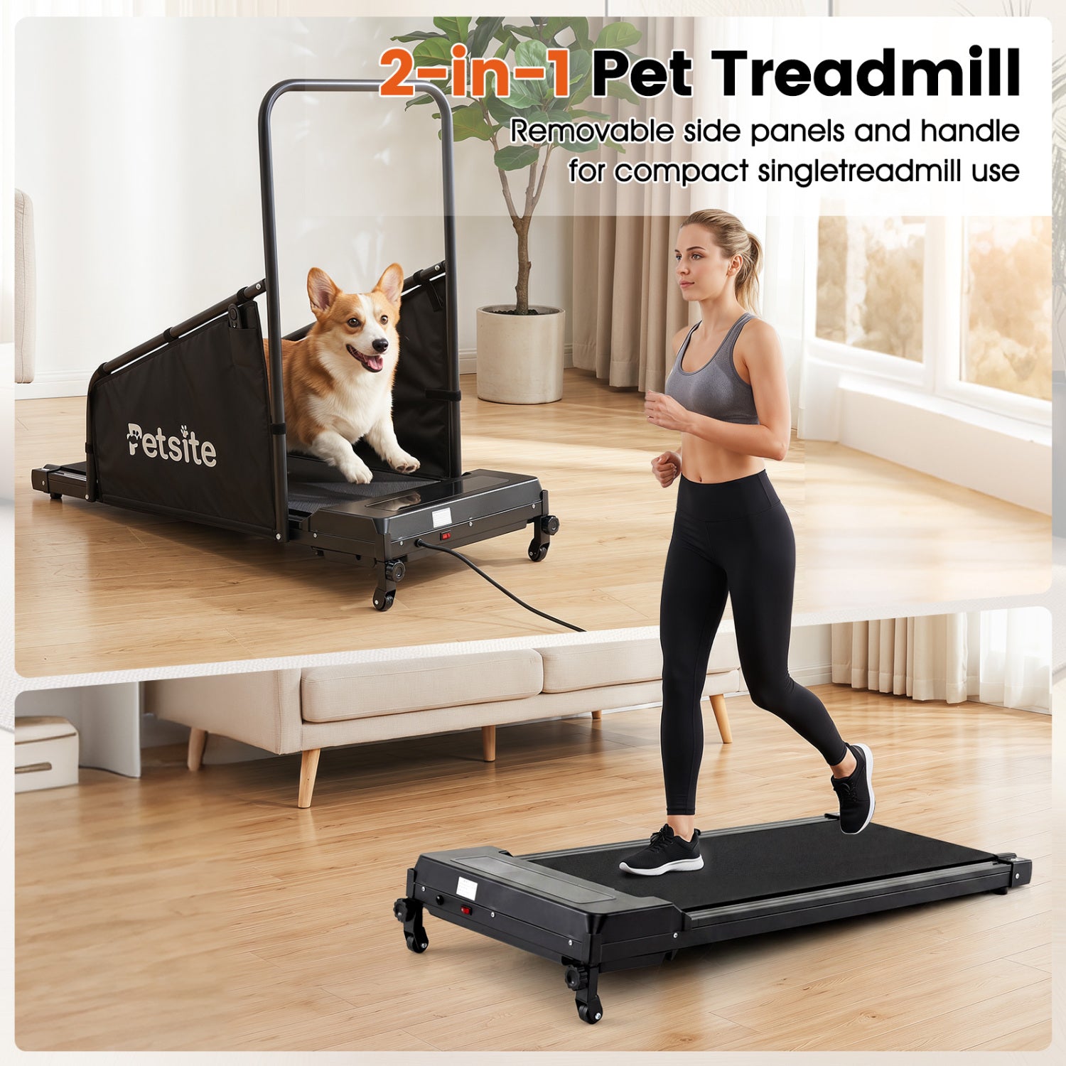 Dog Treadmill With Remote Control, LCD Display, Black Dog Supplies at Gallery Canada
