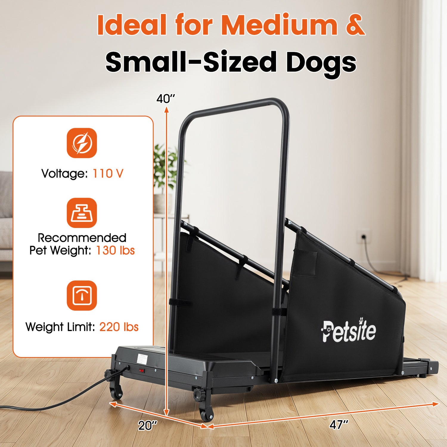 Dog Treadmill With Remote Control, LCD Display, Black Dog Supplies at Gallery Canada