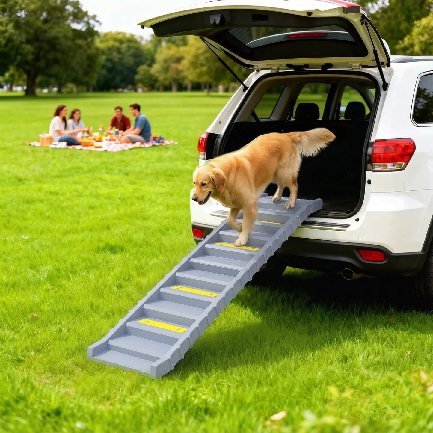 Foldable Dog Ramp With Anti-Slip Steps, Grey Dog Stairs at Gallery Canada