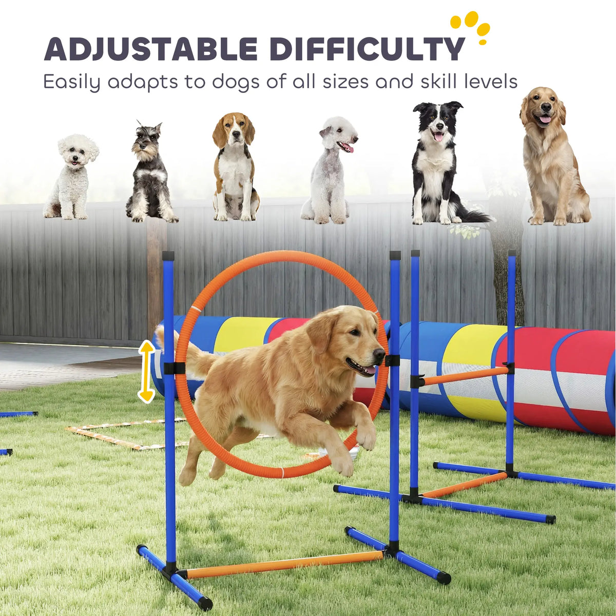 Dog Agility Training Equipment, 11-Piece Obstacle Course, Adjustable Hurdle, Ring, Tunnels, Weave Poles Dog Agility Training Equipment at Gallery Canada