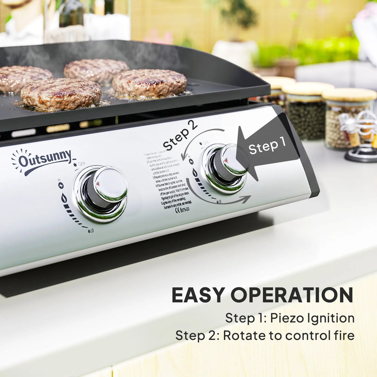 2 Burner Gas Grill, Portable Tabletop BBQ, Camping Picnic, Silver