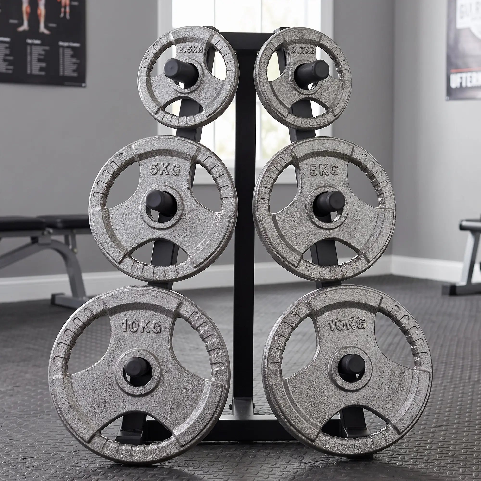 6 PCS Weight Plates, Grip Plate Set, Strength Training, 77 Lbs Dumbbells & Barbells at Gallery Canada