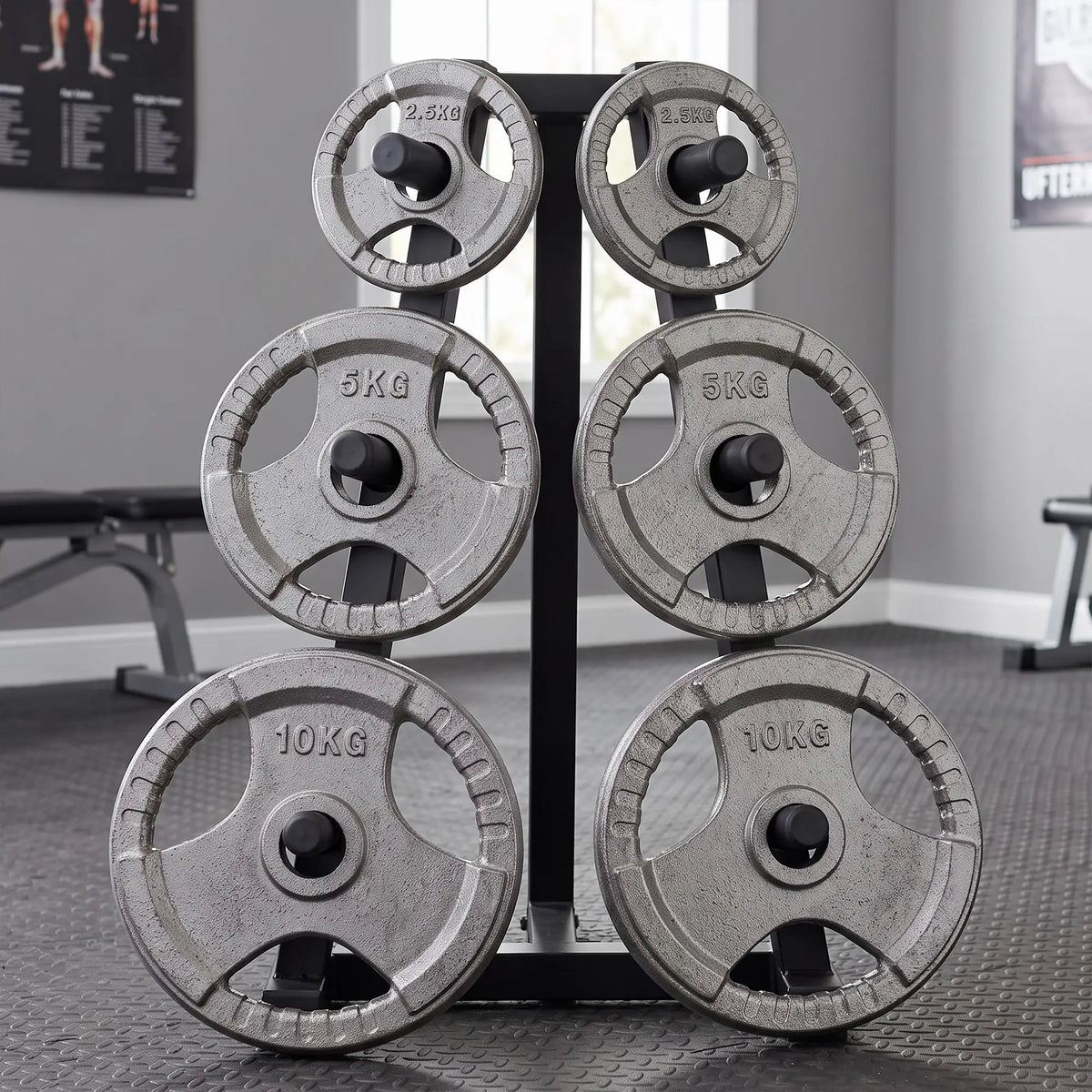6 PCS Weight Plates, Grip Plate Set, Strength Training, 77 Lbs Dumbbells & Barbells at Gallery Canada