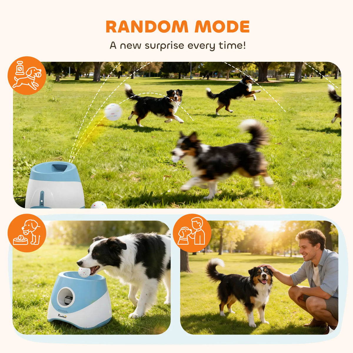 Automatic Dog Ball Launcher With 5 ETPU Balls, Blue Dog Agility Training Equipment at Gallery Canada