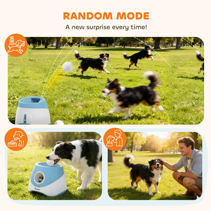 Automatic Dog Ball Launcher With 5 ETPU Balls, Blue Dog Agility Training Equipment at Gallery Canada