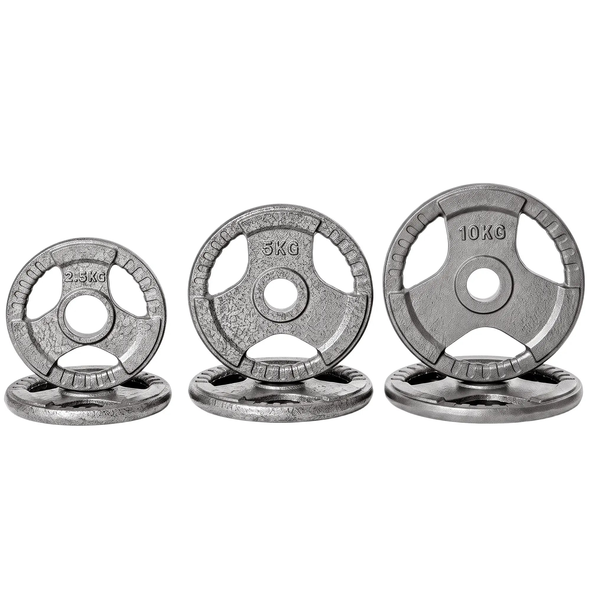 6 PCS Weight Plates, Grip Plate Set, Strength Training, 77 Lbs Dumbbells & Barbells Silver at Gallery Canada