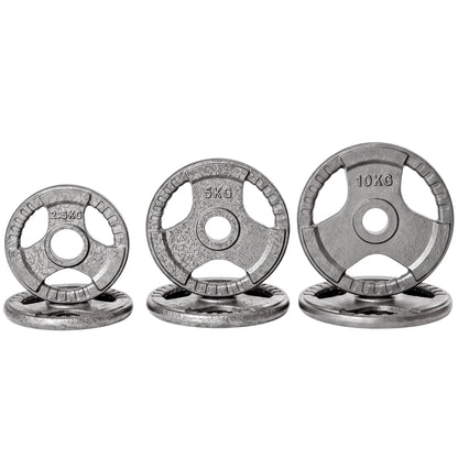 6 PCS Weight Plates, Grip Plate Set, Strength Training, 77 Lbs Dumbbells & Barbells Silver at Gallery Canada