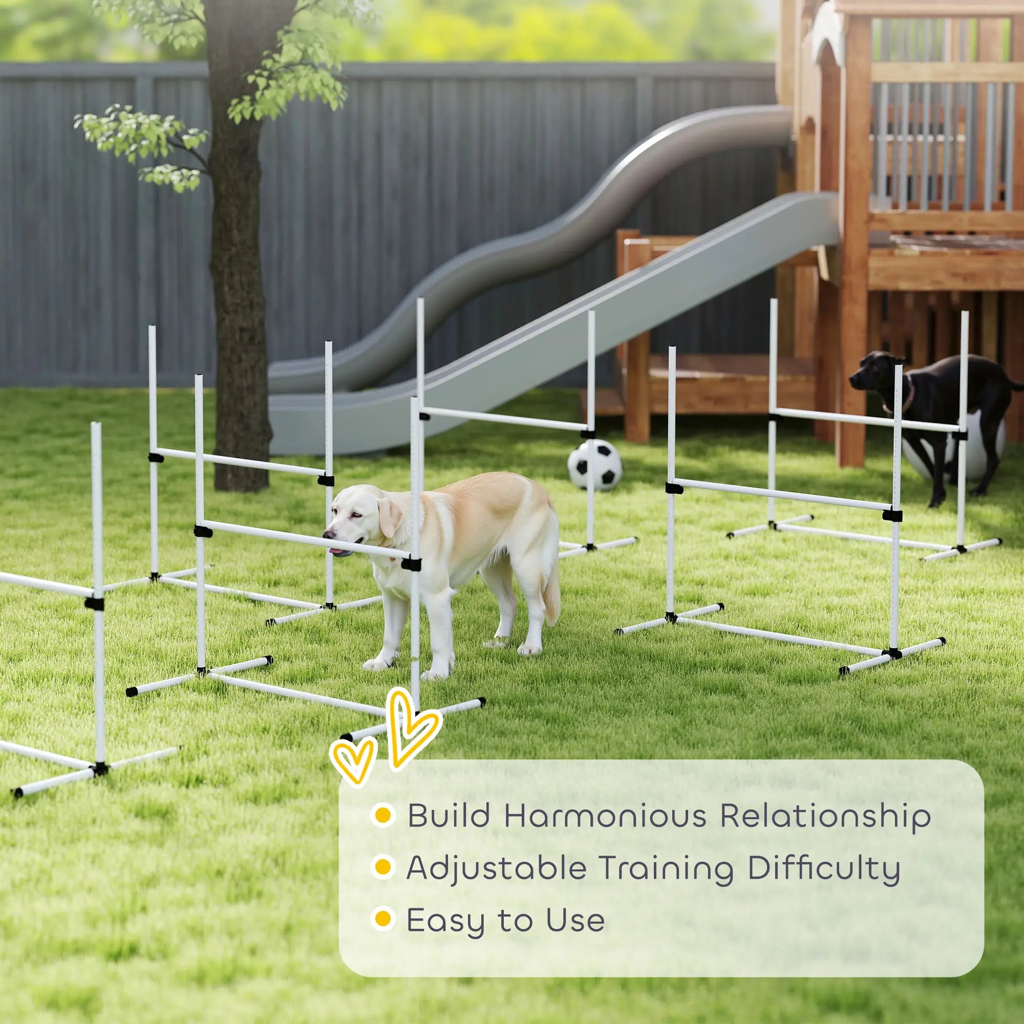 6 Pc Dog Agility Training Kit, Adjustable Jump Bar, White Dog Agility Training Equipment at Gallery Canada