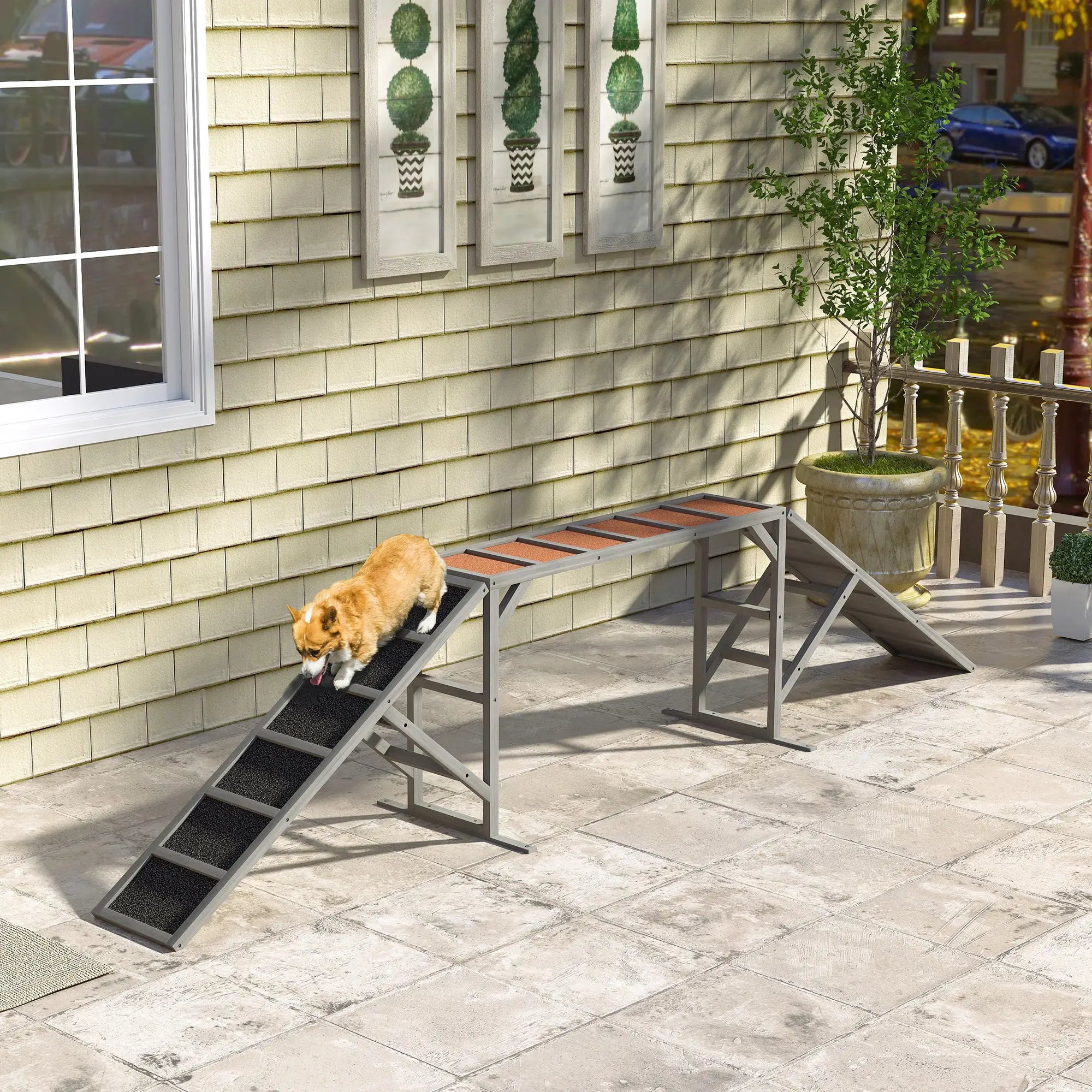 Dog Agility Ramp With Safety Bar, Non-Slip Surface, Gray Dog Agility Training Equipment at Gallery Canada
