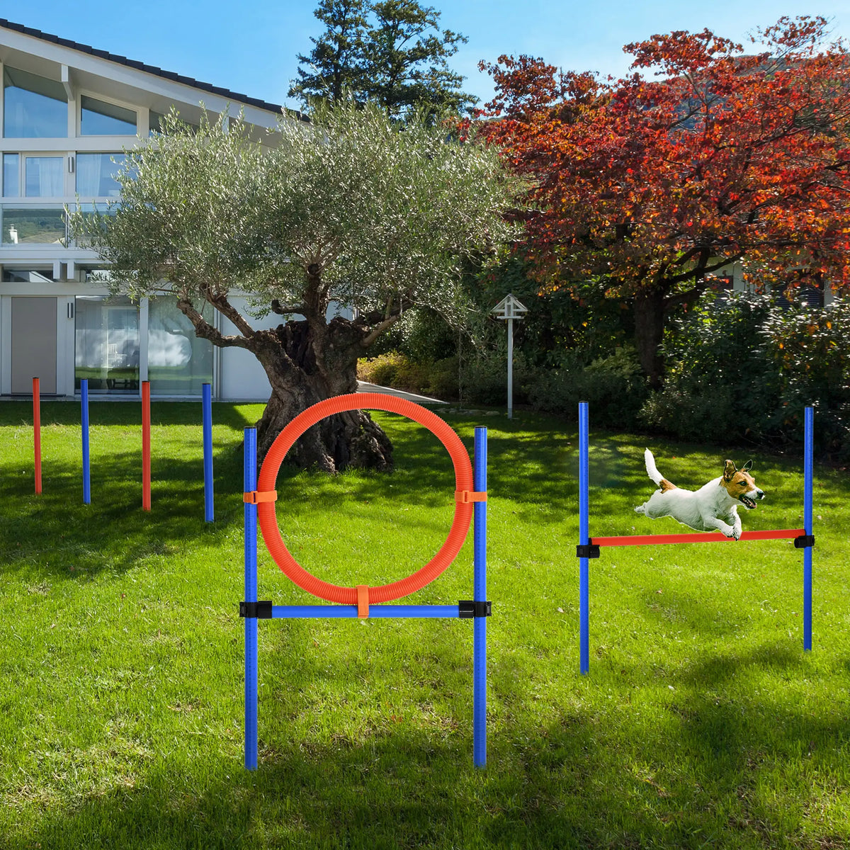Dog Agility Training Kit, Adjustable Jump Weave Pole Ring Set Dog Agility Training Equipment at Gallery Canada