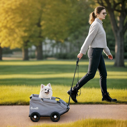 4 Wheels Folding Pet Stroller, Universal Handle, Storage Bag, Washable Cushion Dog Bike Trailers & Strollers at Gallery Canada
