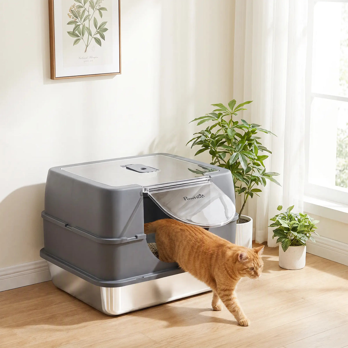 Stainless Steel Cat Litter Box with Lid, High Sided, Scoop Cat Litter Box Enclosures at Gallery Canada