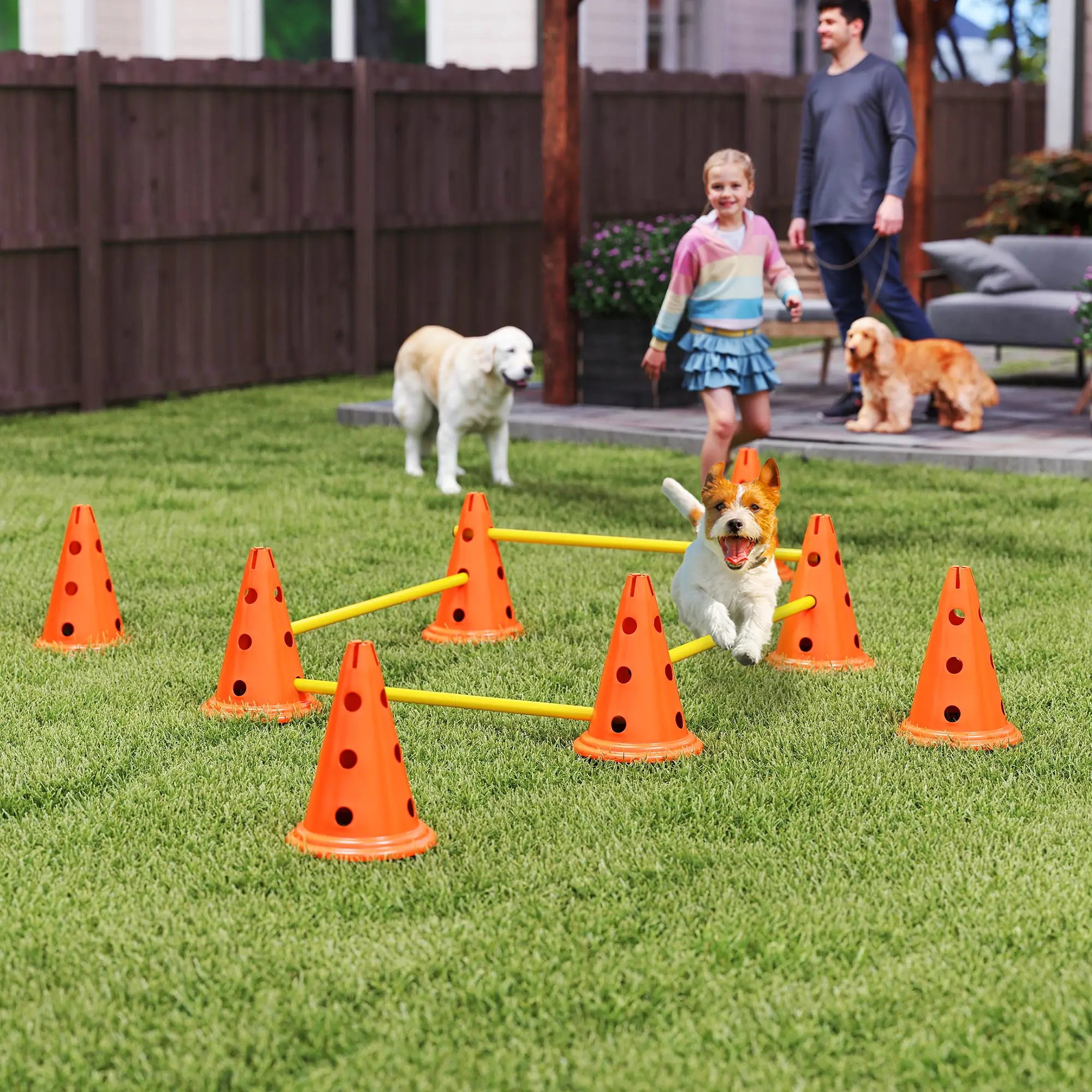 Dog Agility Hurdle Set, Adjustable Obstacle Course, 8 Cones 8 Poles, Orange Dog Agility Training Equipment at Gallery Canada