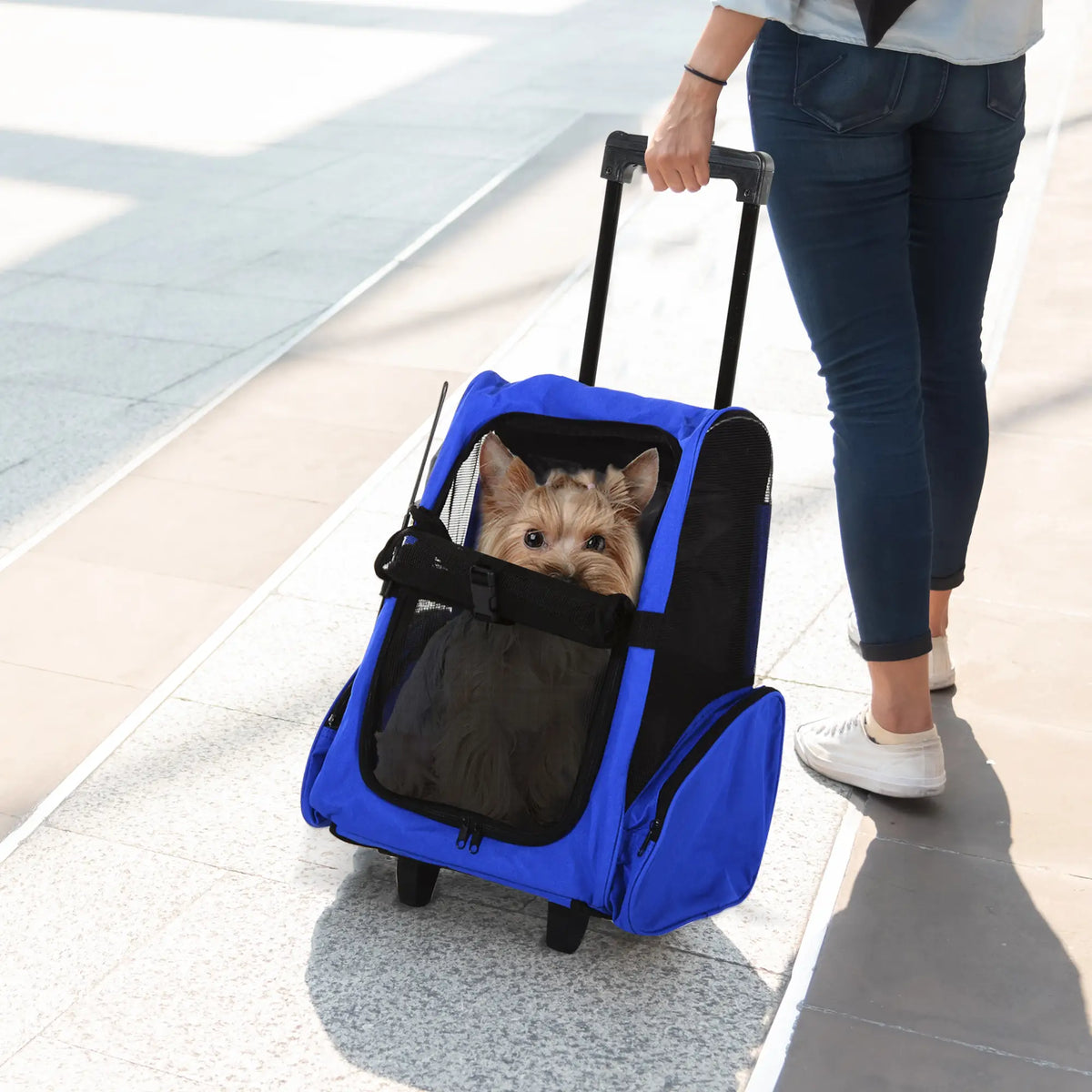 2-in-1 Pet Luggage Box Backpack Carrier, Rolling Wheel, Blue Dog Bike Trailers & Strollers at Gallery Canada