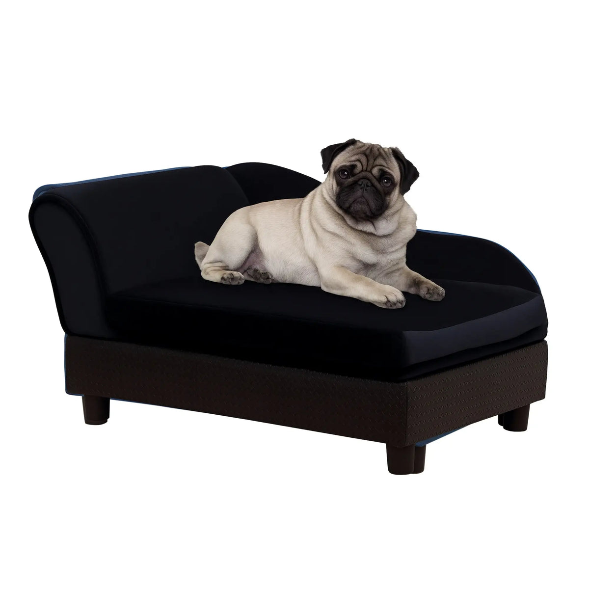 Small Pet Sofa, Dog Couch with Storage, Sponge Cushioned Bed, Black Dog Sofas Black at Gallery Canada