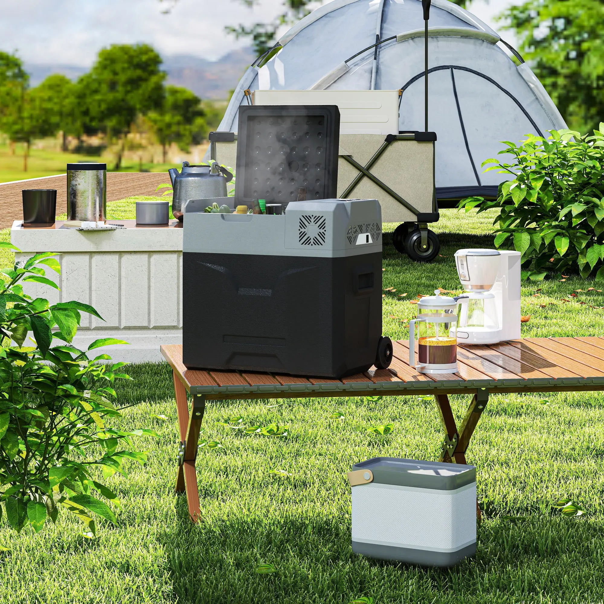 50L Portable Car Refrigerator, 12/24V Electric Cooler, -20℃, Camping, Travel Car Coolers at Gallery Canada