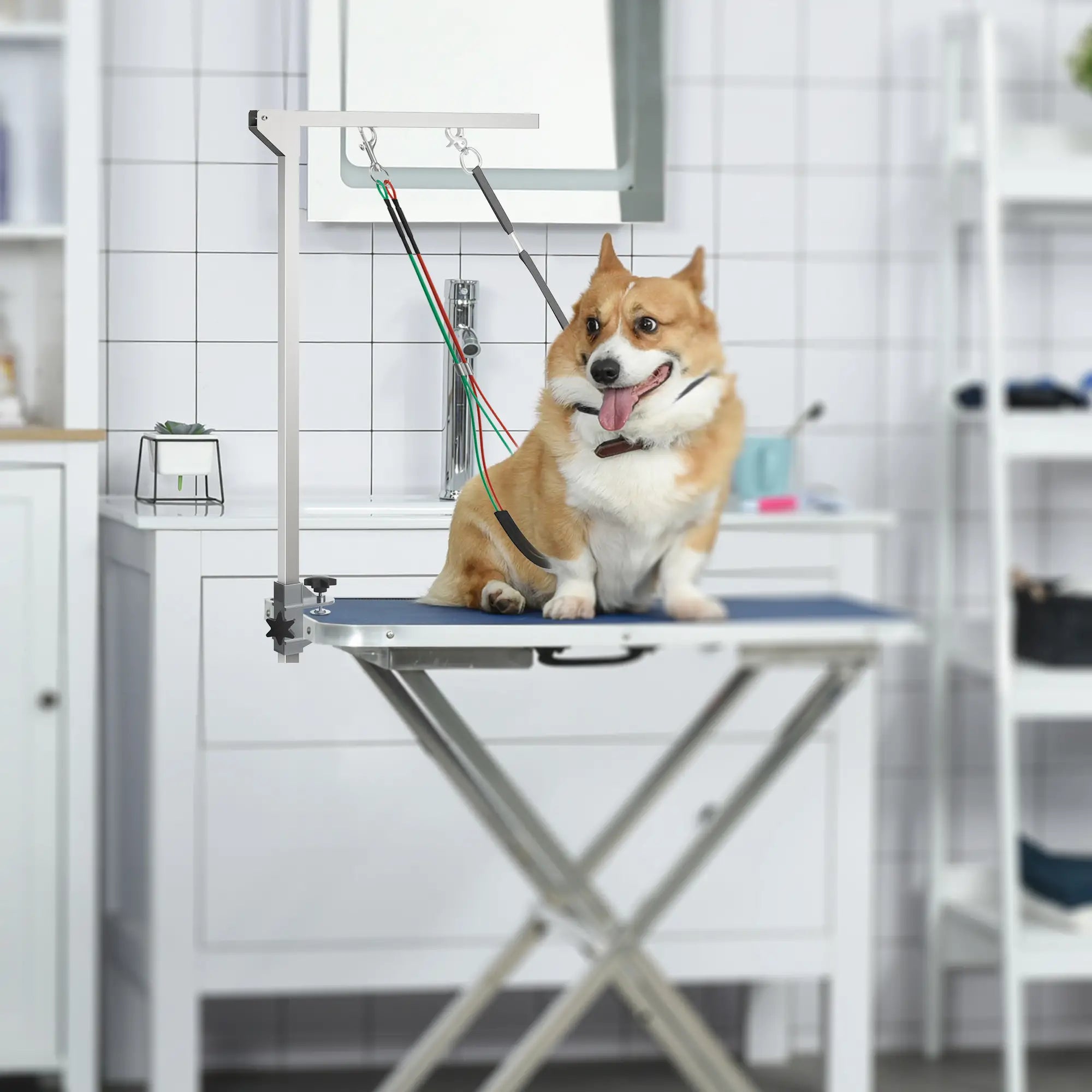 Adjustable Pet Grooming Arm With Clamp, Haunch Holders, Grooming Loop, Sliver Dog Grooming Tables at Gallery Canada