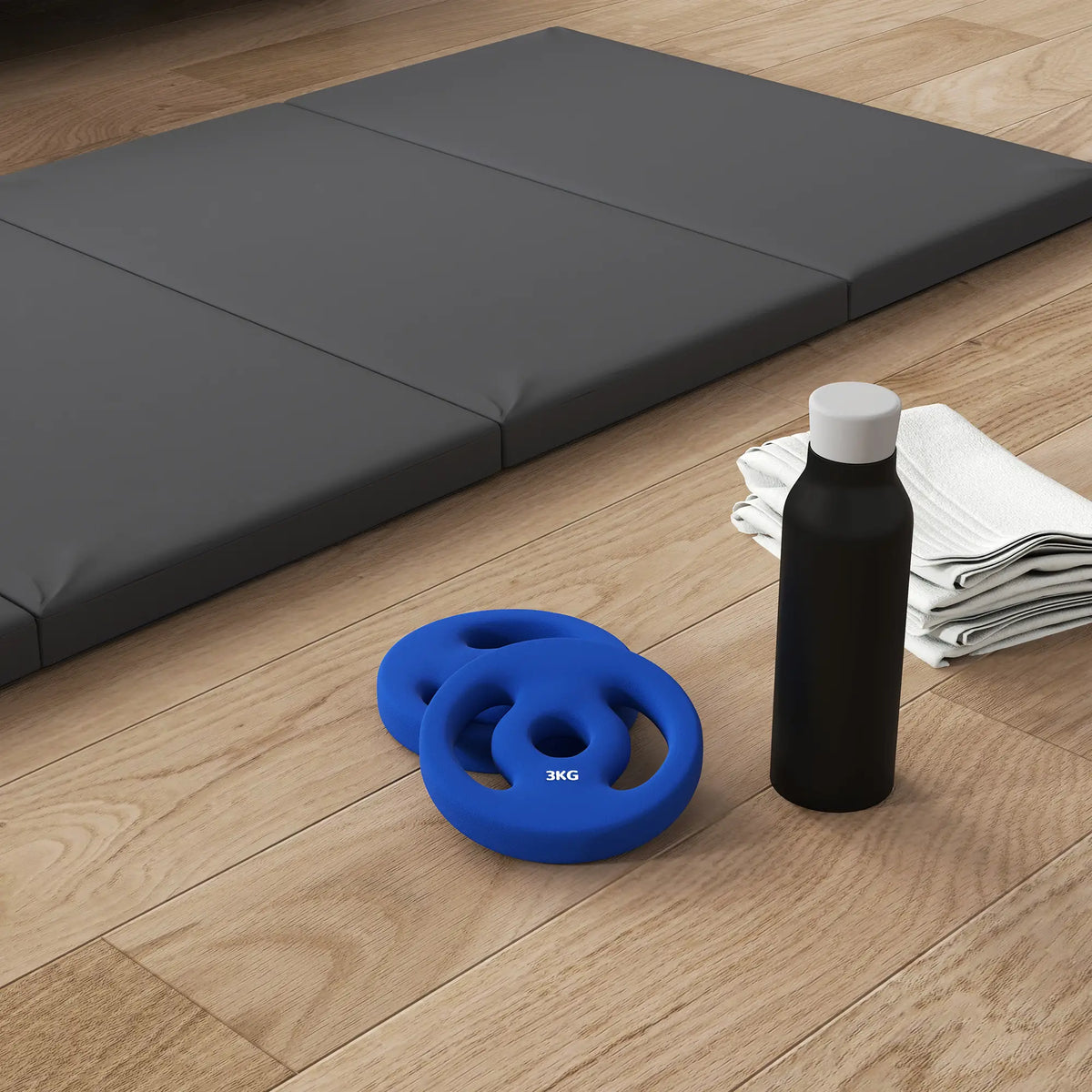 2 x 6.6lbs Weight Plates, 1" Holes, Easy-Grip Handles, Gym, Home Dumbbells & Barbells at Gallery Canada