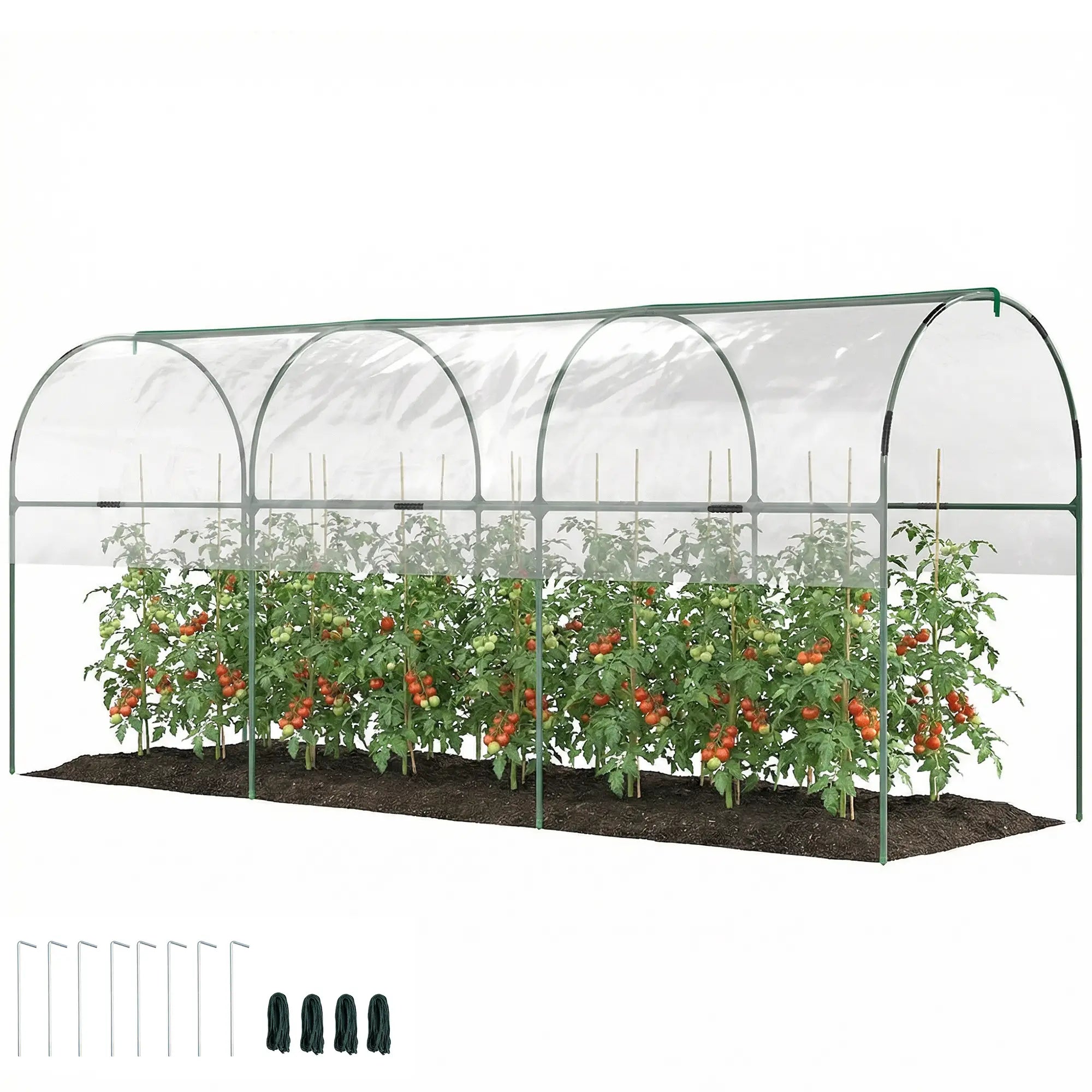 Tomato Greenhouse Tunnel, 4 Hoops, Top Tap, 157.5