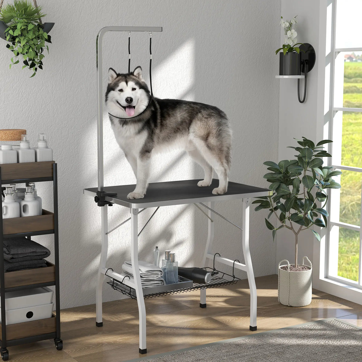 Dog Grooming Table, Adjustable Arm, Mesh Tray, 35" x 24" x 61", Black Dog Grooming Tables at Gallery Canada