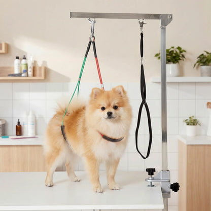 Adjustable Pet Grooming Arm With Clamp, Haunch Holders, Grooming Loop, Sliver Dog Grooming Tables at Gallery Canada
