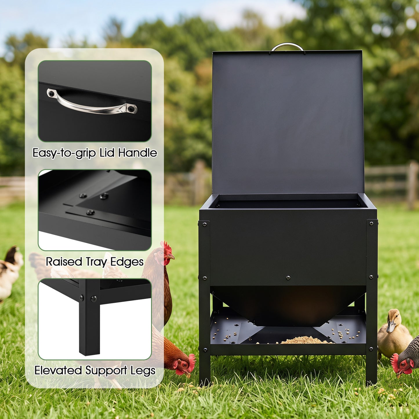 Large Capacity Chicken Feeding Box with Openable Lid, Black Chicken Coops at Gallery Canada