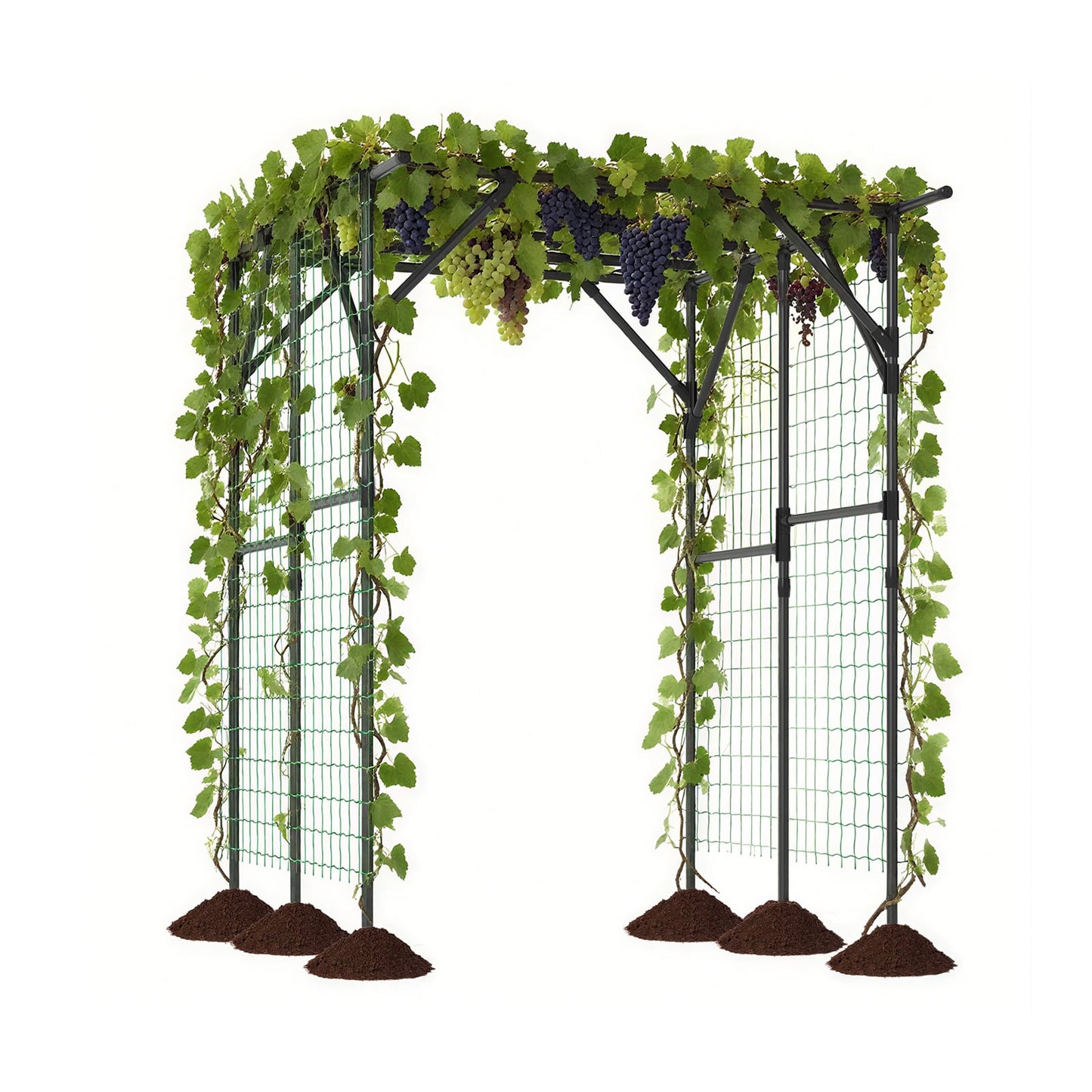 Large Garden Arch Trellis for Climbing Plants Outdoor Grape Vine Support, Black Outdoor Decor Black at Gallery Canada